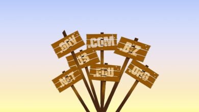 Domain Name